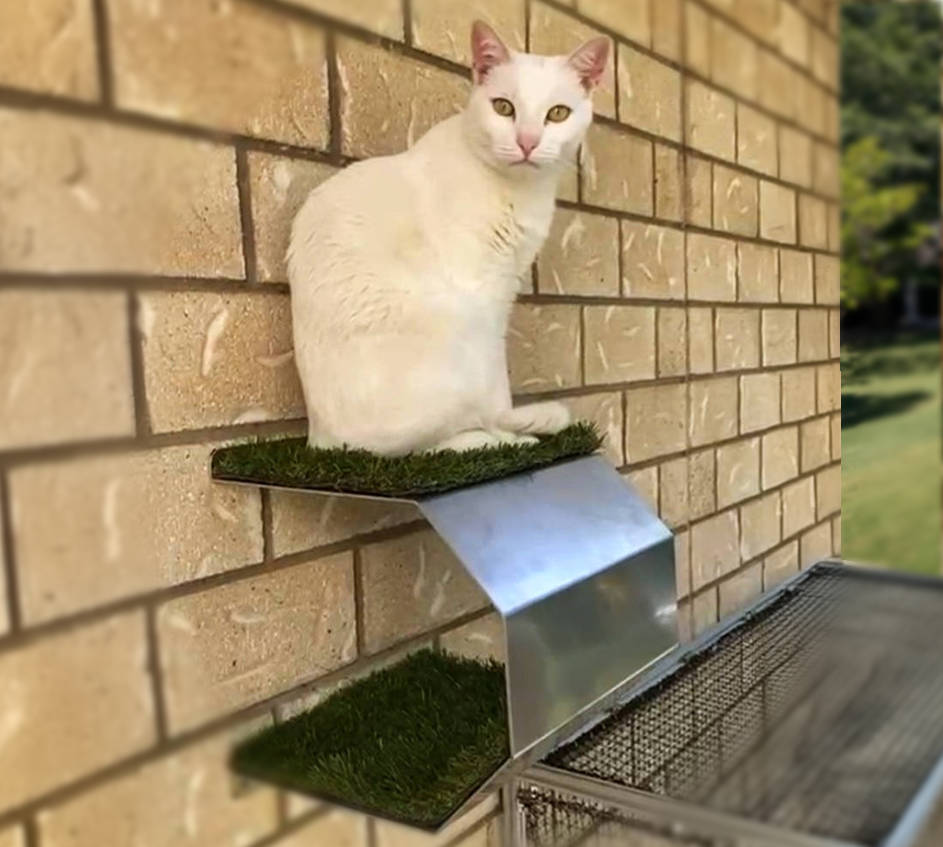 Bob's Cat Enclosure Cat Ledge 3c Woman Playing With Cat Holiday